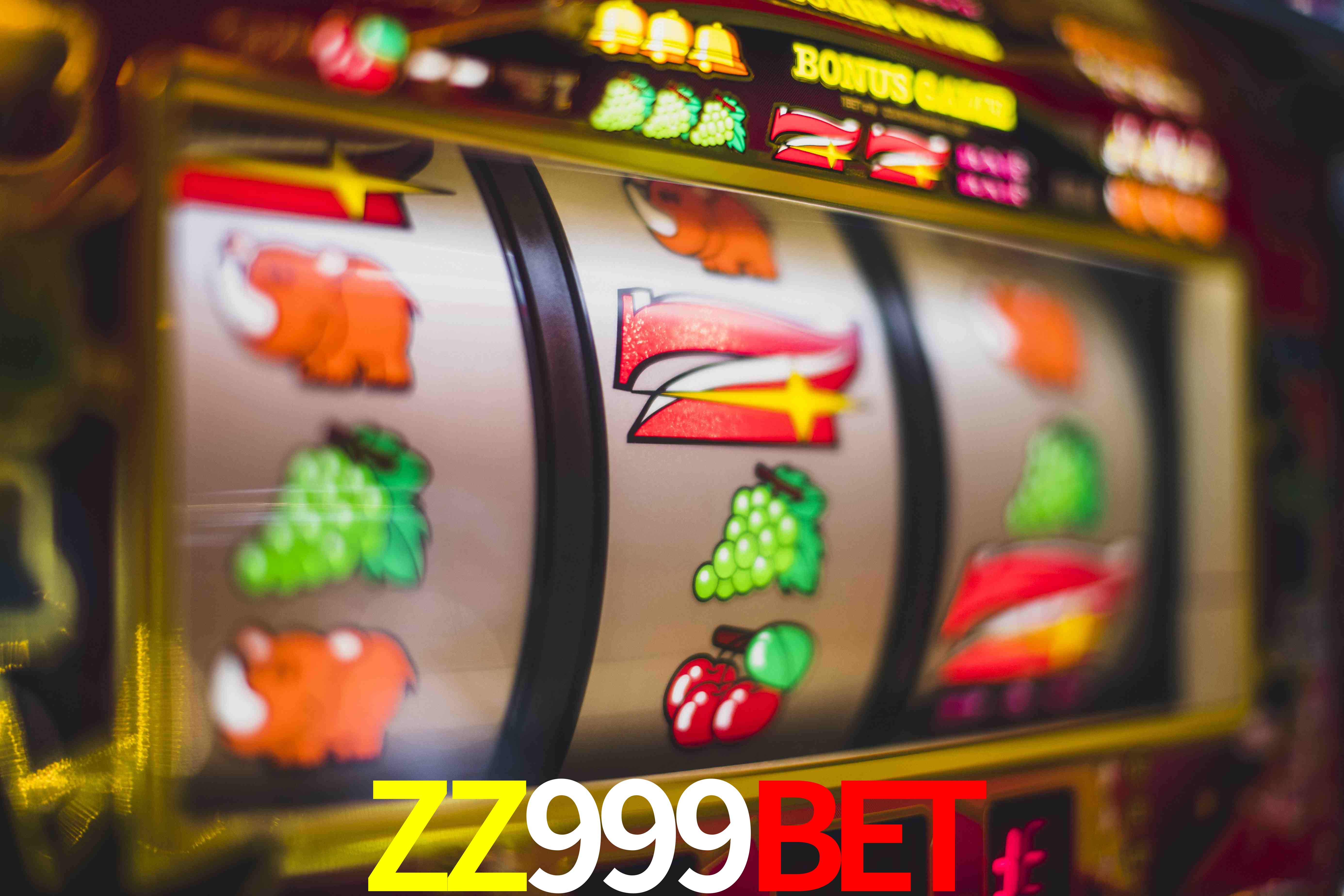 Sports Statistics ZZ999BET
